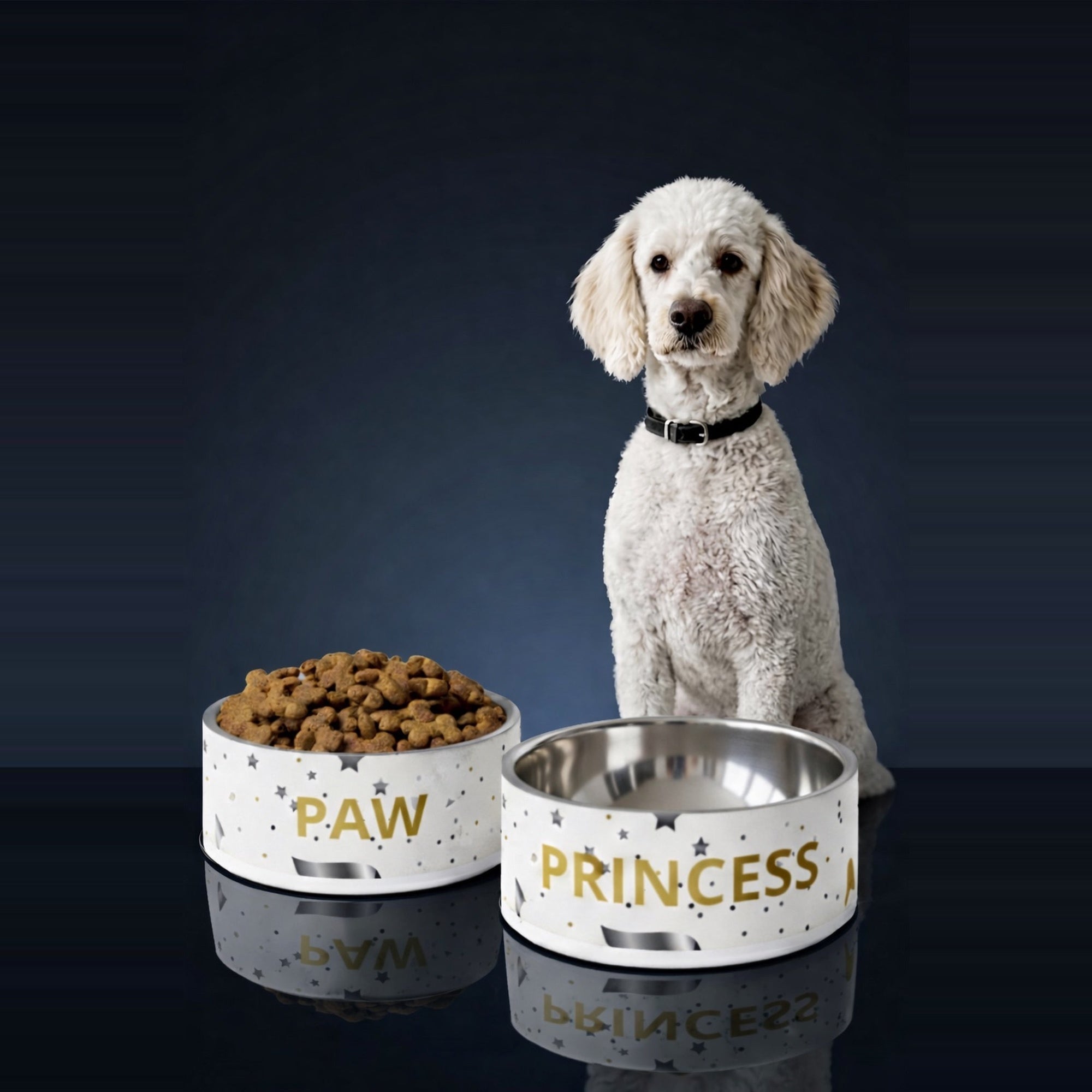 Luxury Dog Bowl Collection