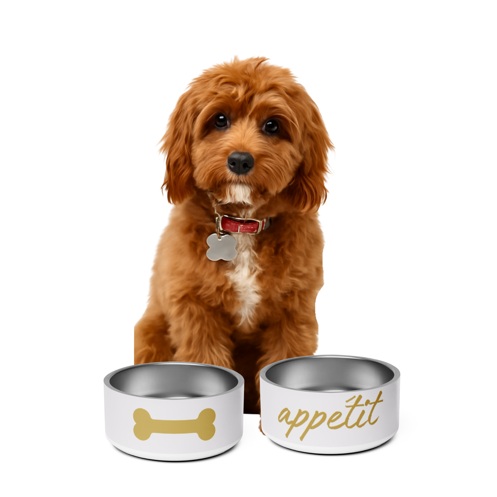 Dog with two metal bowls, one with a bone design and the other with 'appétit' text, on a white background.