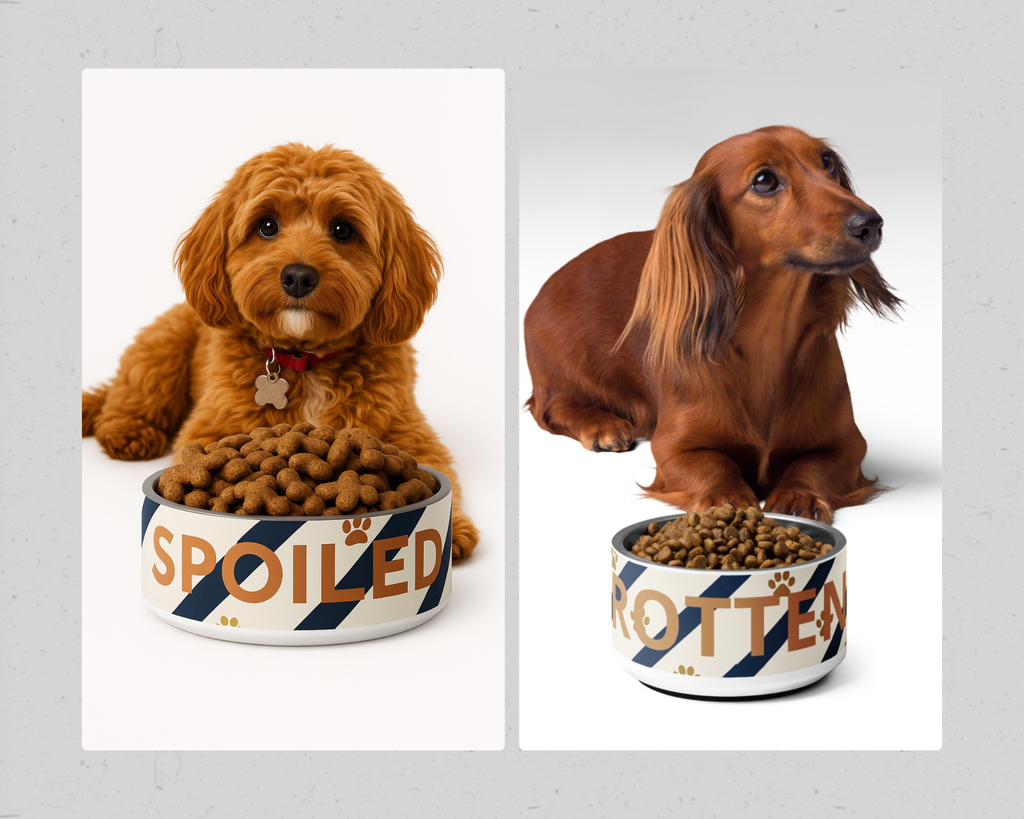 Luxury Dog Bowl Stainless Steel; Blue strips and Paw Prints "Rotten",18 oz