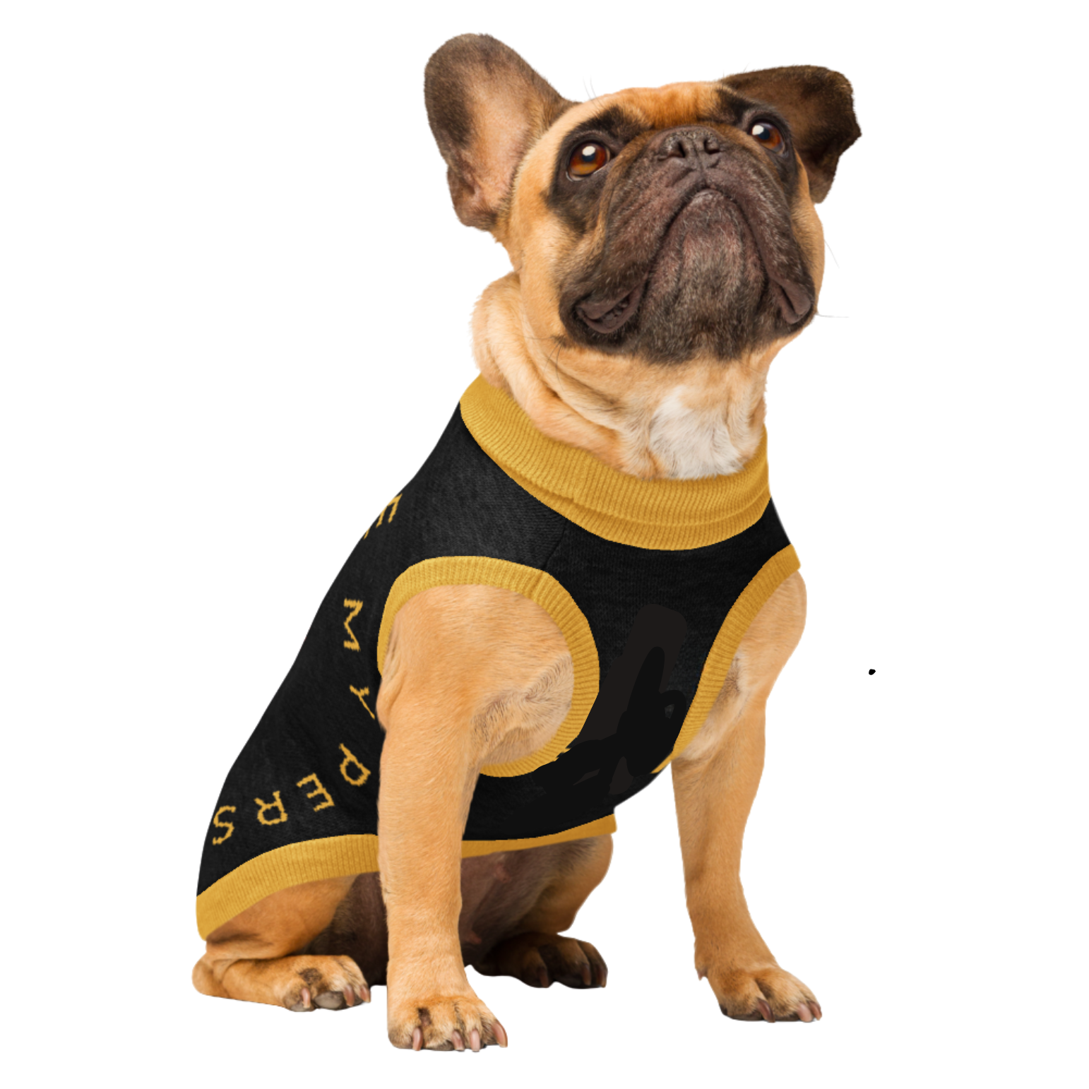 Personalized Knitted pet sweater Color Black, Gold and Red "You Are My Person", 2XL