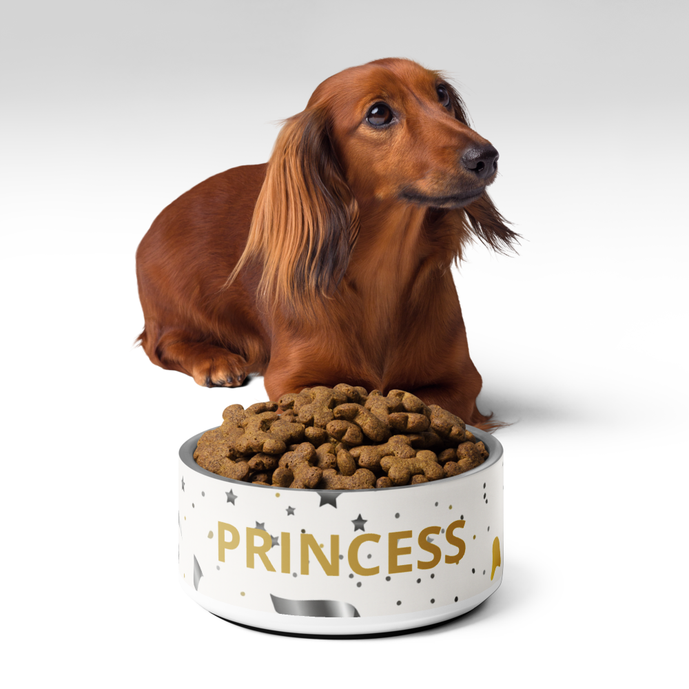 Stainless Steel Dog Bowl, Modern Pattern, “PRINCESS”, Gold, 18 and 32 oz.