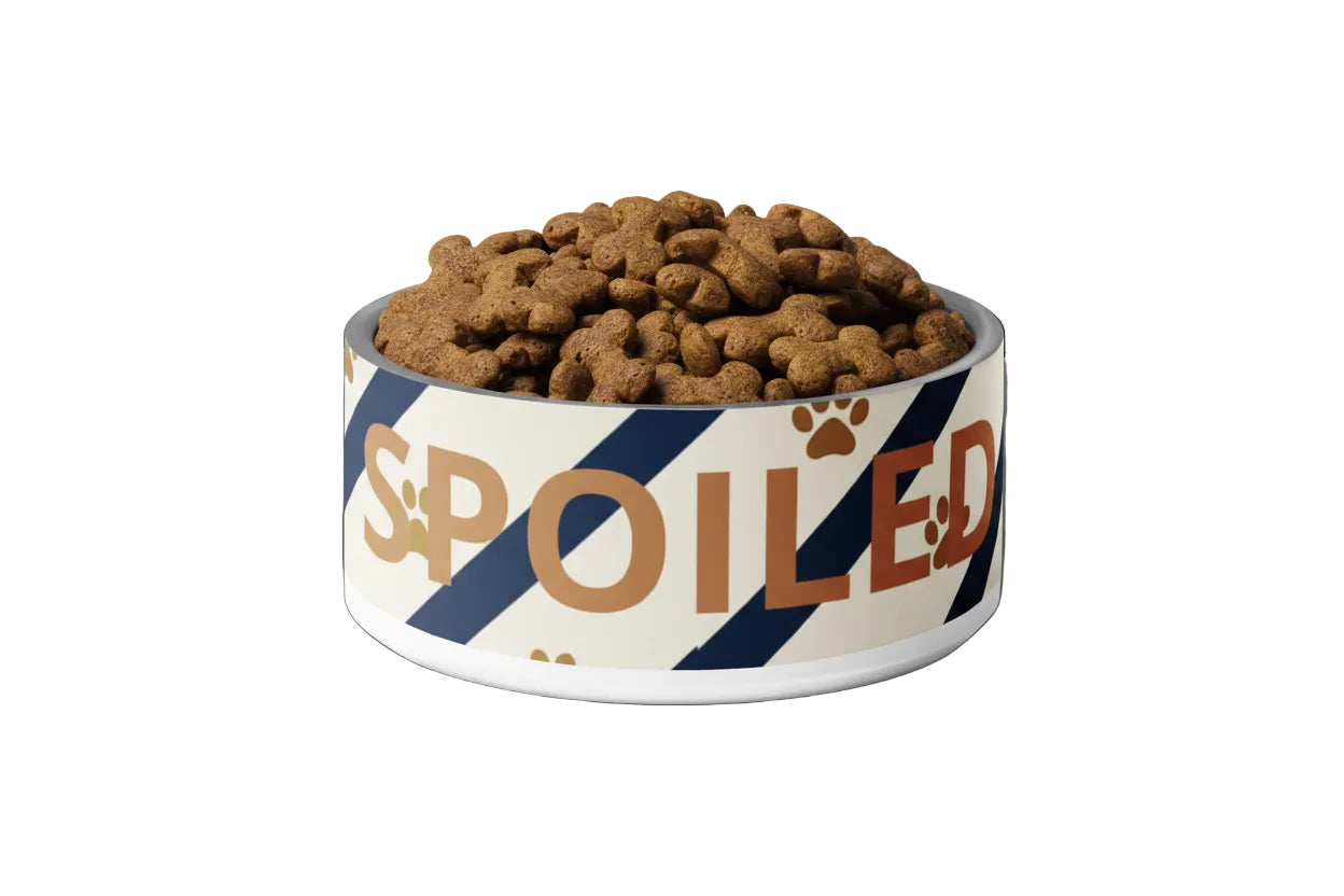 Luxury Dog Bowl Stainless Steel: Blue strips and Paw Prints "Spoiled", 18 oz