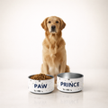 Dog sitting next to two personalized dog bowls with food on a white background