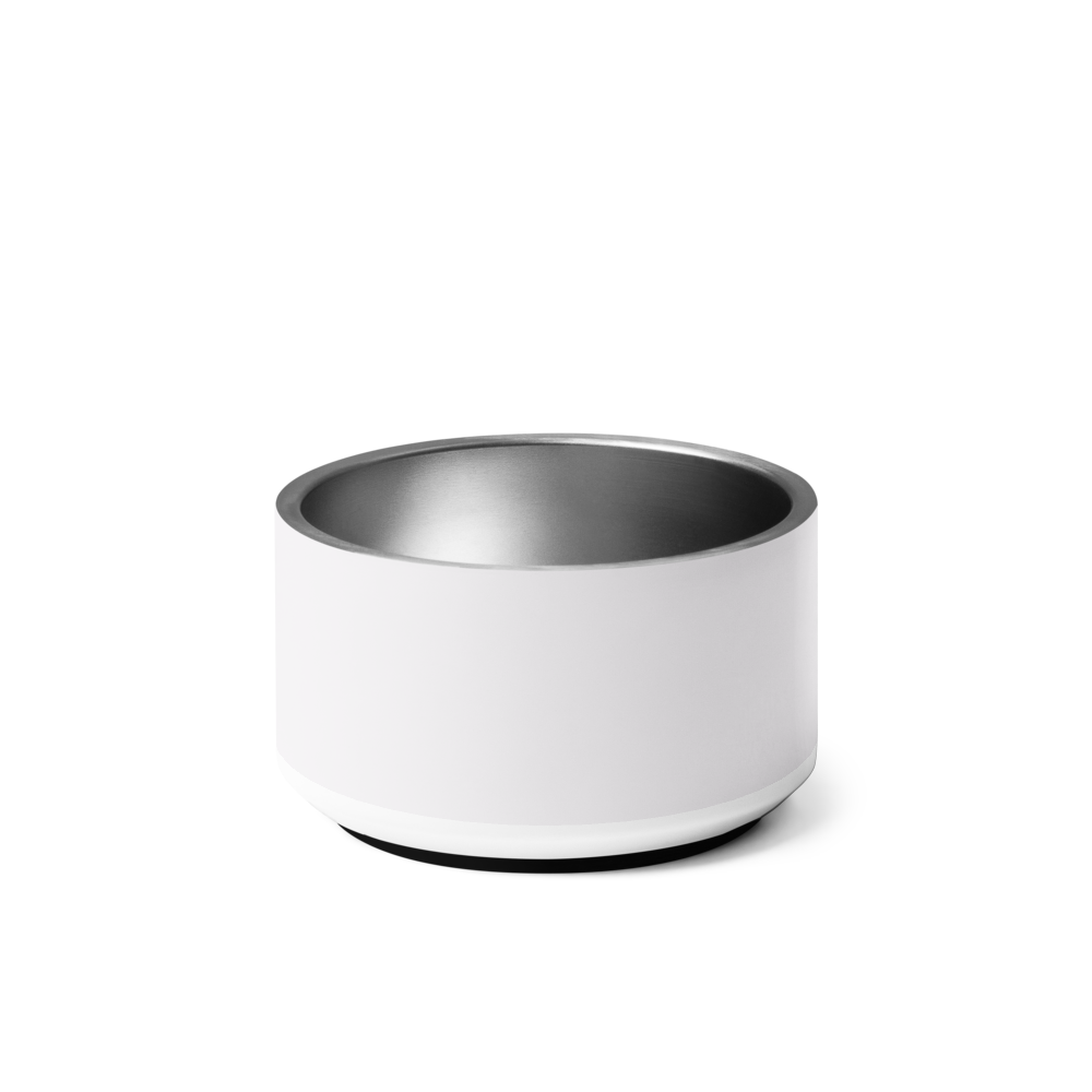 Ivory stainless steel dog bowl  on a white background