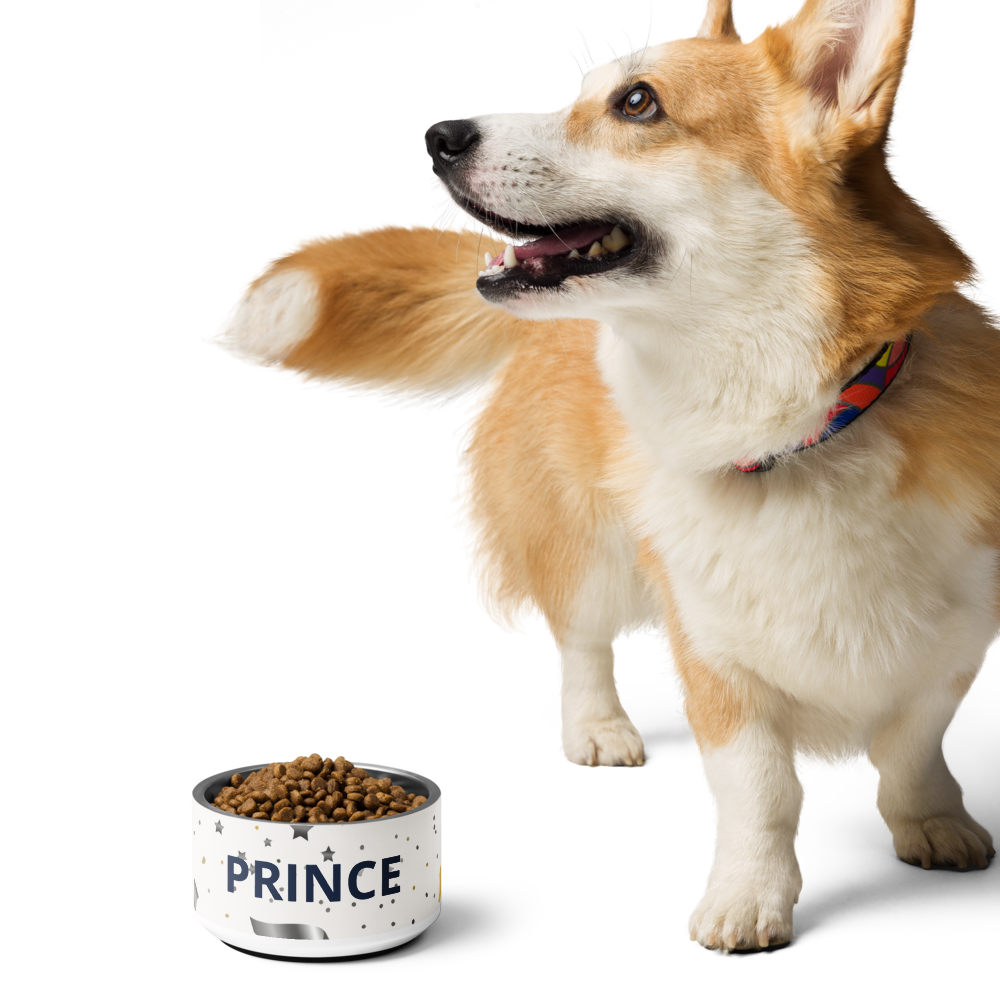 Dog standing next to a bowl of Prince pet food on a white background