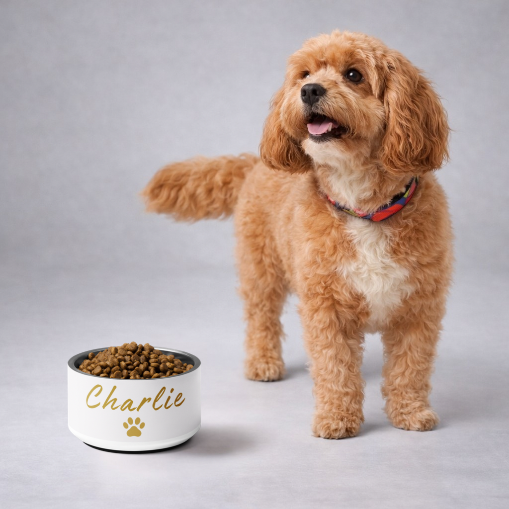 Dog standing next to a bowl labeled 'Charlie' on a gray background