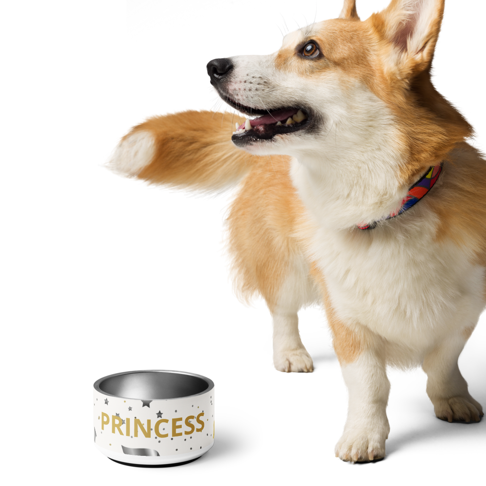 Dog standing next to a 'PRINCESS' bowl on a white background