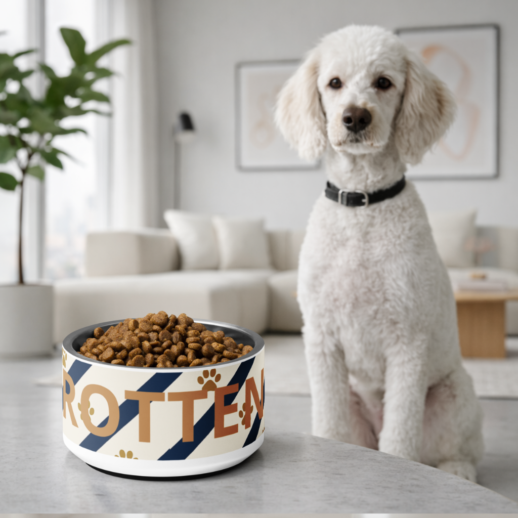 White dog sitting next to a bowl of dog food on a table in a living room.