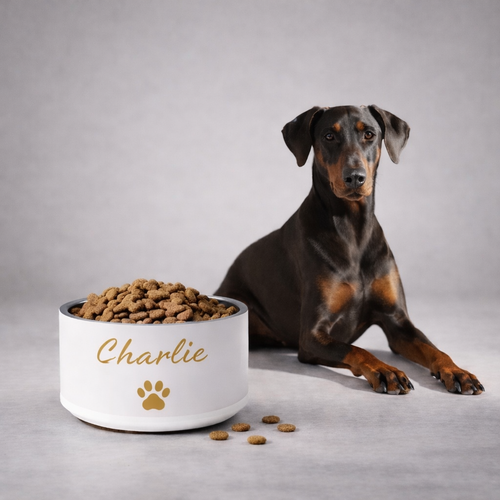 Dog sitting next to a Ivory bowl labeled 'Max' filled with dog food on a gray background