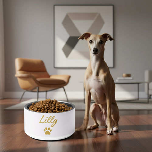 Dog sitting next to a white bowl labeled 'Lilly' in a modern living room.