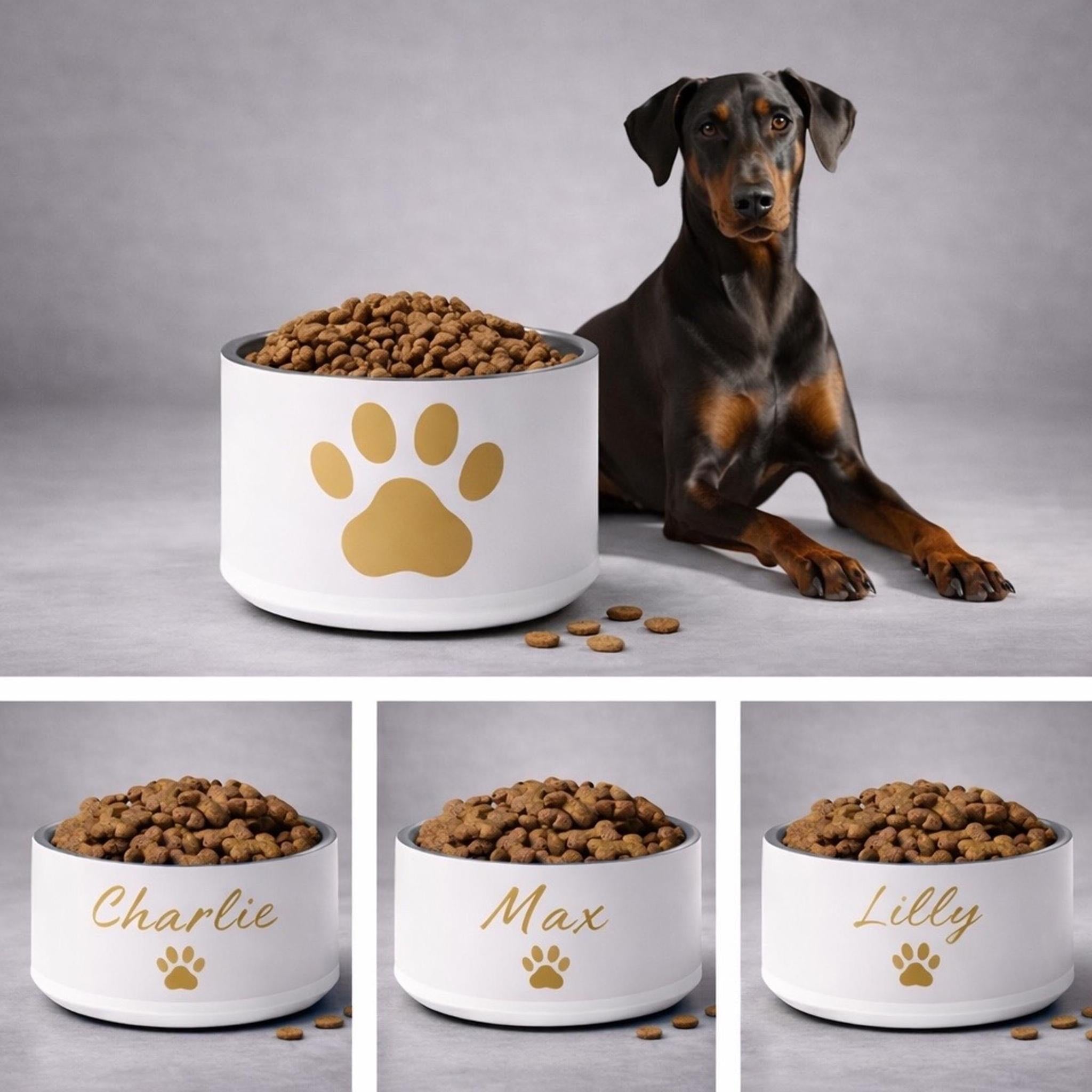 Dog sitting next to a white bowl with a gold paw print design, containing dog food.
