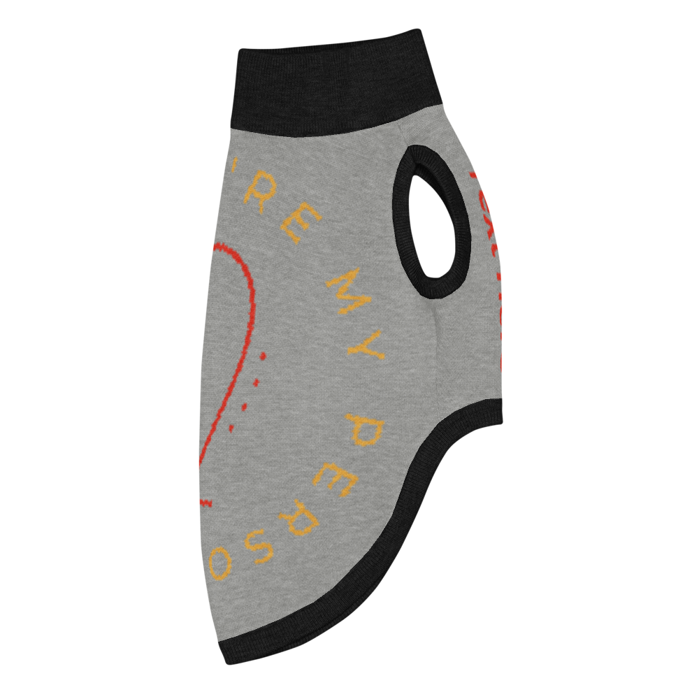 Personalized Knitted pet sweater, Color Gray and Black, "You are my Person" Size M &L