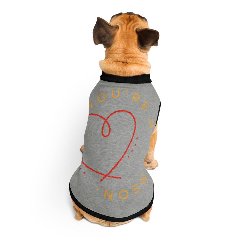 Personalized Knitted pet sweater, Color Gray and Black, "You are my Person" Size M &L
