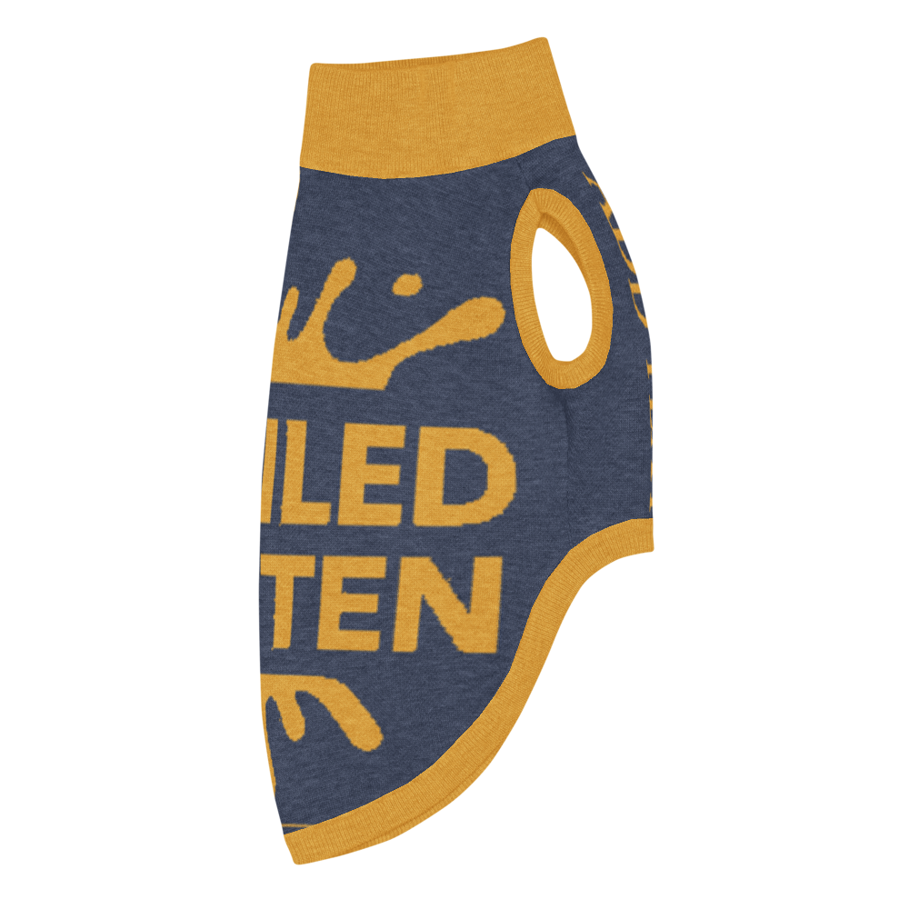 Blue and yellow dog sweater with text on a white background