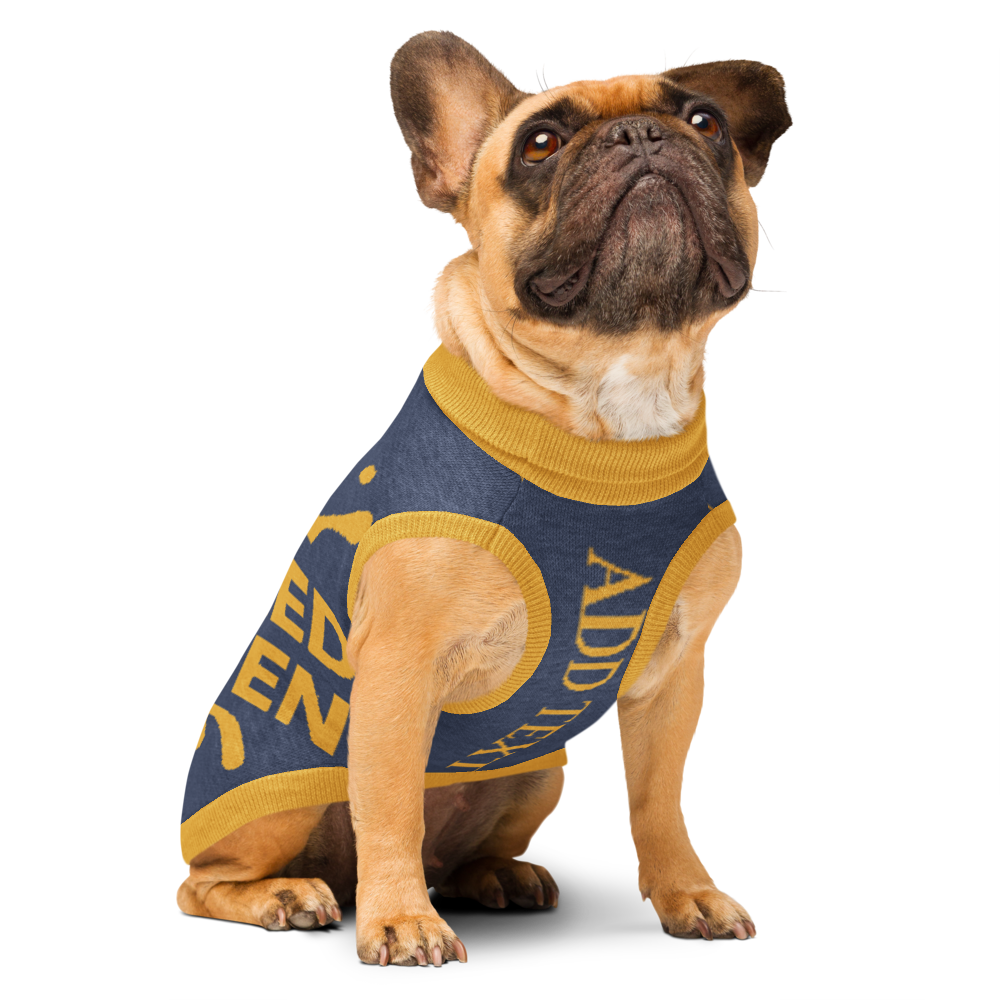 Personalized Dog sweater, Blue and Gold, Splashes with “SPOILED ROTTEN”, 2XL