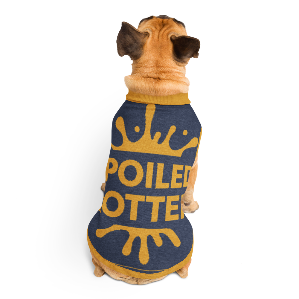 Customizable Size 2XS Knitted Dog Sweater, Spoiled Rotten, Blue and Gold