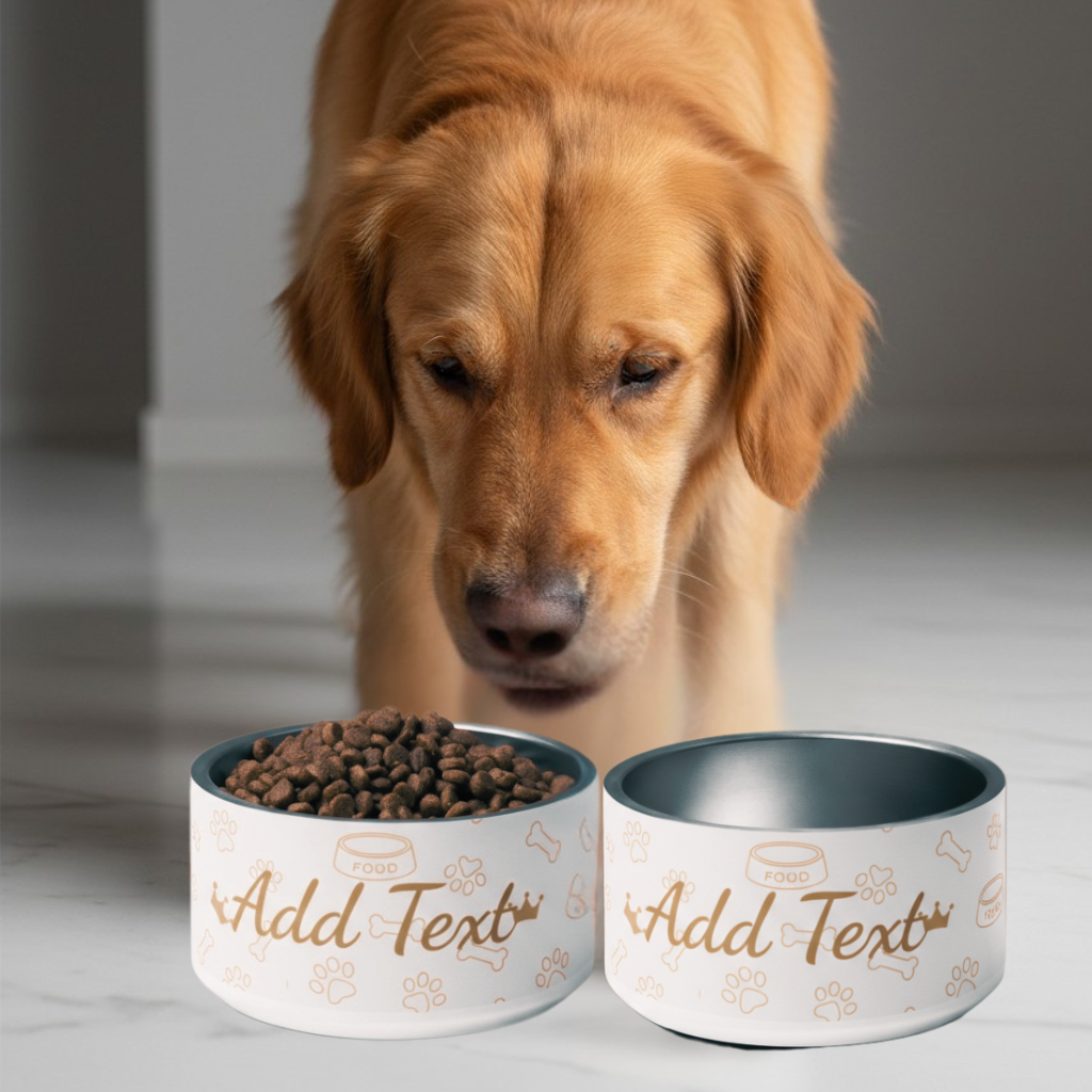Dog looking at two pet bowls with customizable text on a neutral background