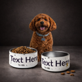 Brown dog sitting between two personalized dog bowls with a dark background