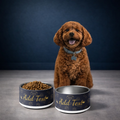 Brown dog sitting next to two dog food bowls with customizable text on a dark background