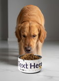 Dog looking at a custom pet bowl with 'Text Here' placeholder on a neutral background