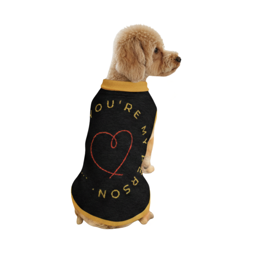 Dog wearing a black sweater with yellow trim and text on a white background
