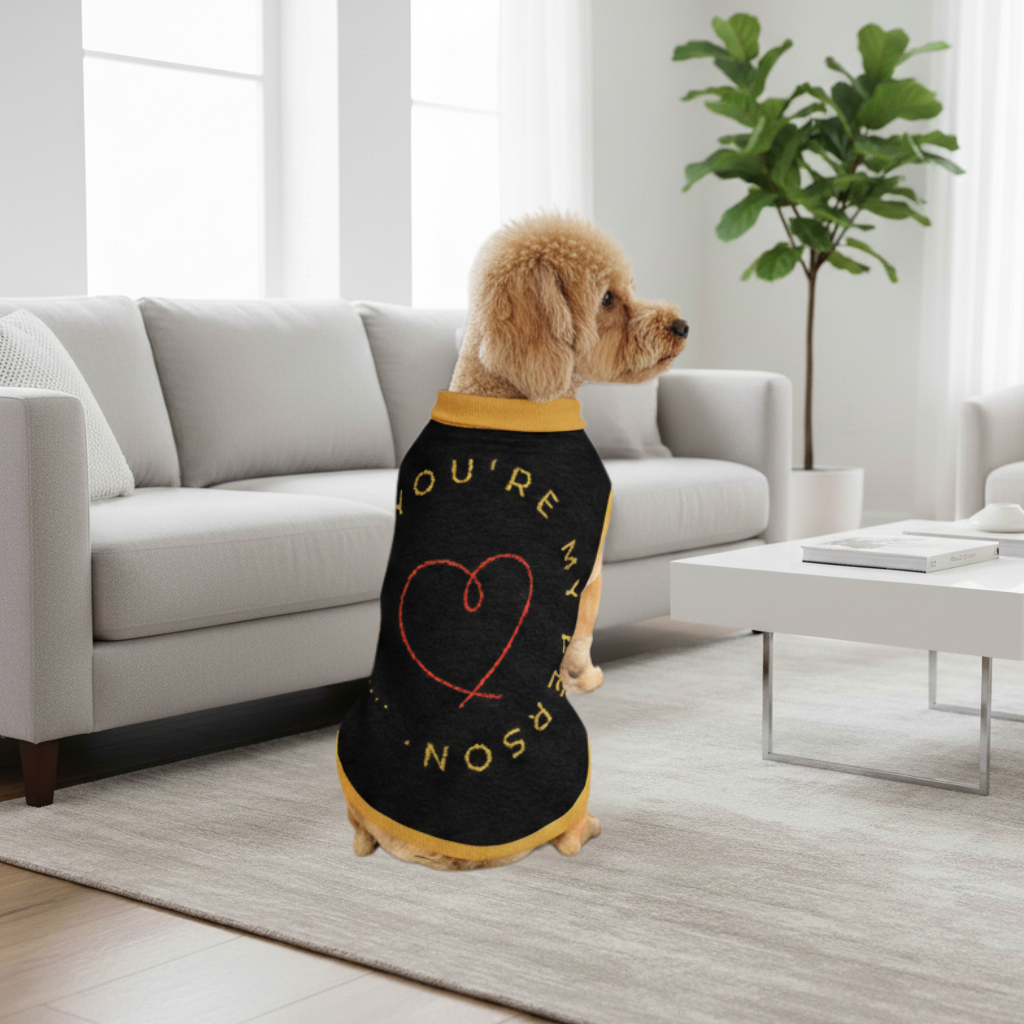 Dog wearing a black and yellow sweater with text and heart design in a living room.