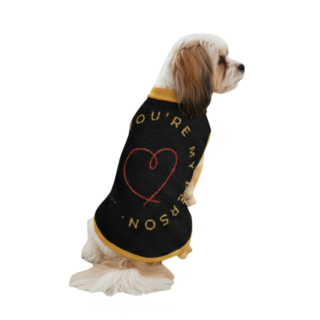 Dog wearing a black sweater with yellow trim and text on a white background