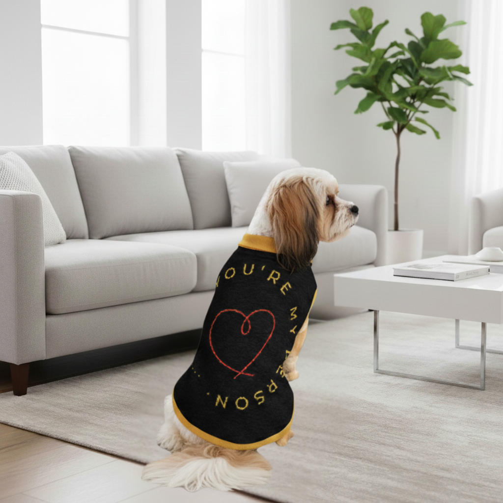 Dog wearing a sweater with text in a living room