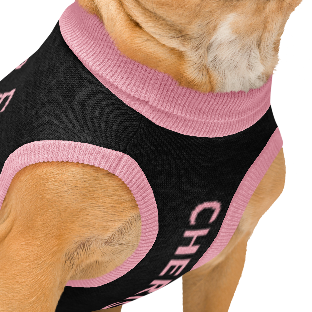 Dog wearing a black and pink outfit with 'CHEER' text on a white background