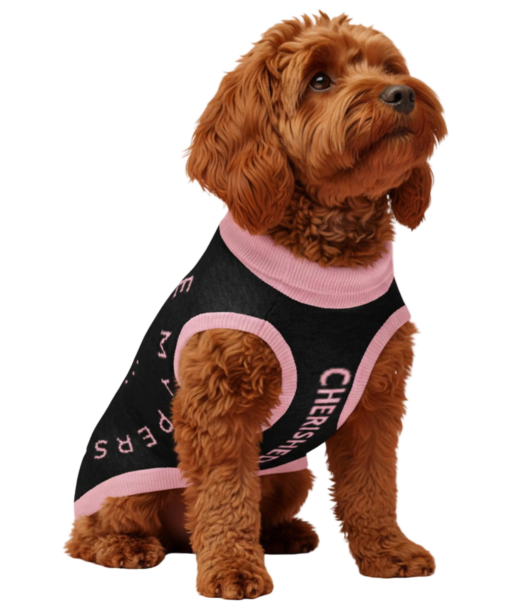 Brown dog wearing a black and pink outfit with 'CHEERS' text on a pink background with flowers.