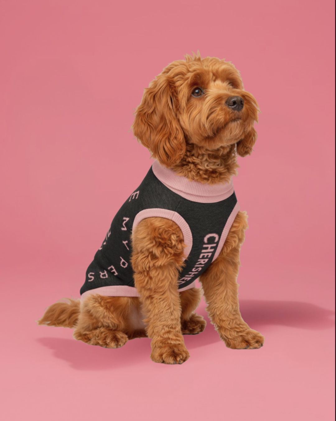 Dog wearing a black and pink outfit with 'Cherished' text on a pink background