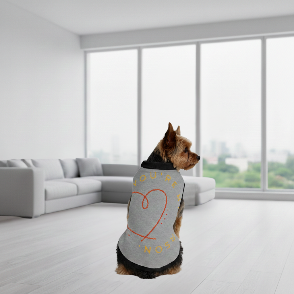 Dog wearing a gray sweater with a heart design in a modern living room.