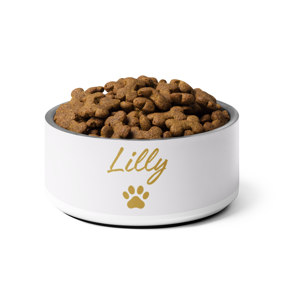 Custom Name Pet Bowl, Ivory Whisper & Gold, Luxury Pet Feeding Bowls, Lilly