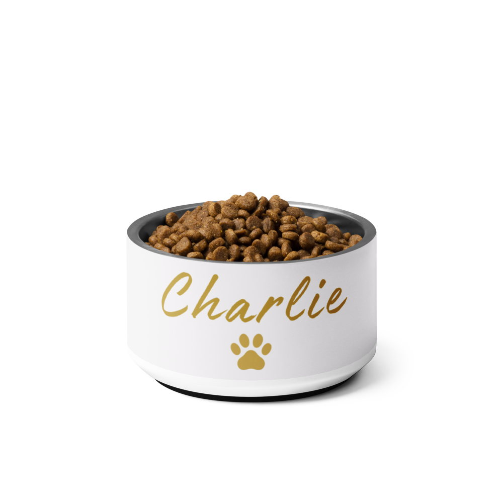 Custom Name Pet Bowl Set, Ivory Whisper & Gold, Luxury Pet Feeding Bowls, Charlie