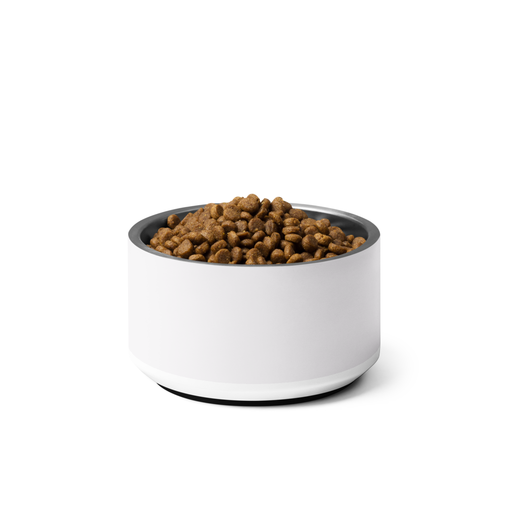 Custom Name Pet Bowl set, Ivory Whisper & Gold, Luxury Pet Feeding Bowls, Bella