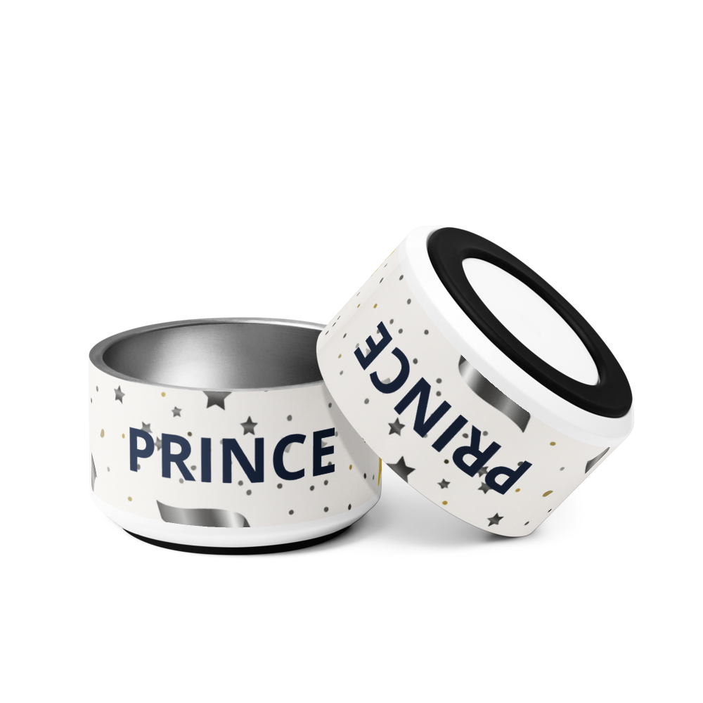 Stainless Steel Dog Bowl, Modern, “PRINCE”, 18 and 32 oz.