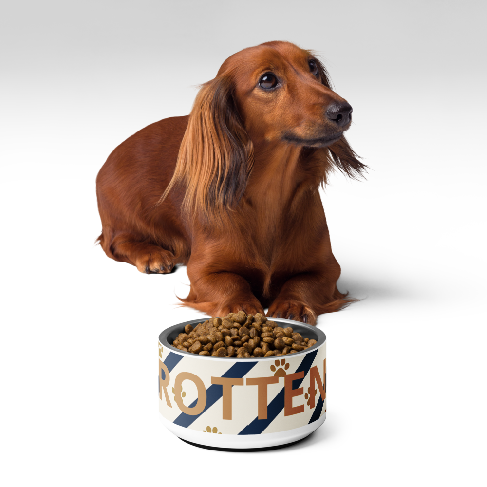 Luxury Dog Bowl Stainless Steel; Blue strips and Paw Prints "Rotten",18 oz