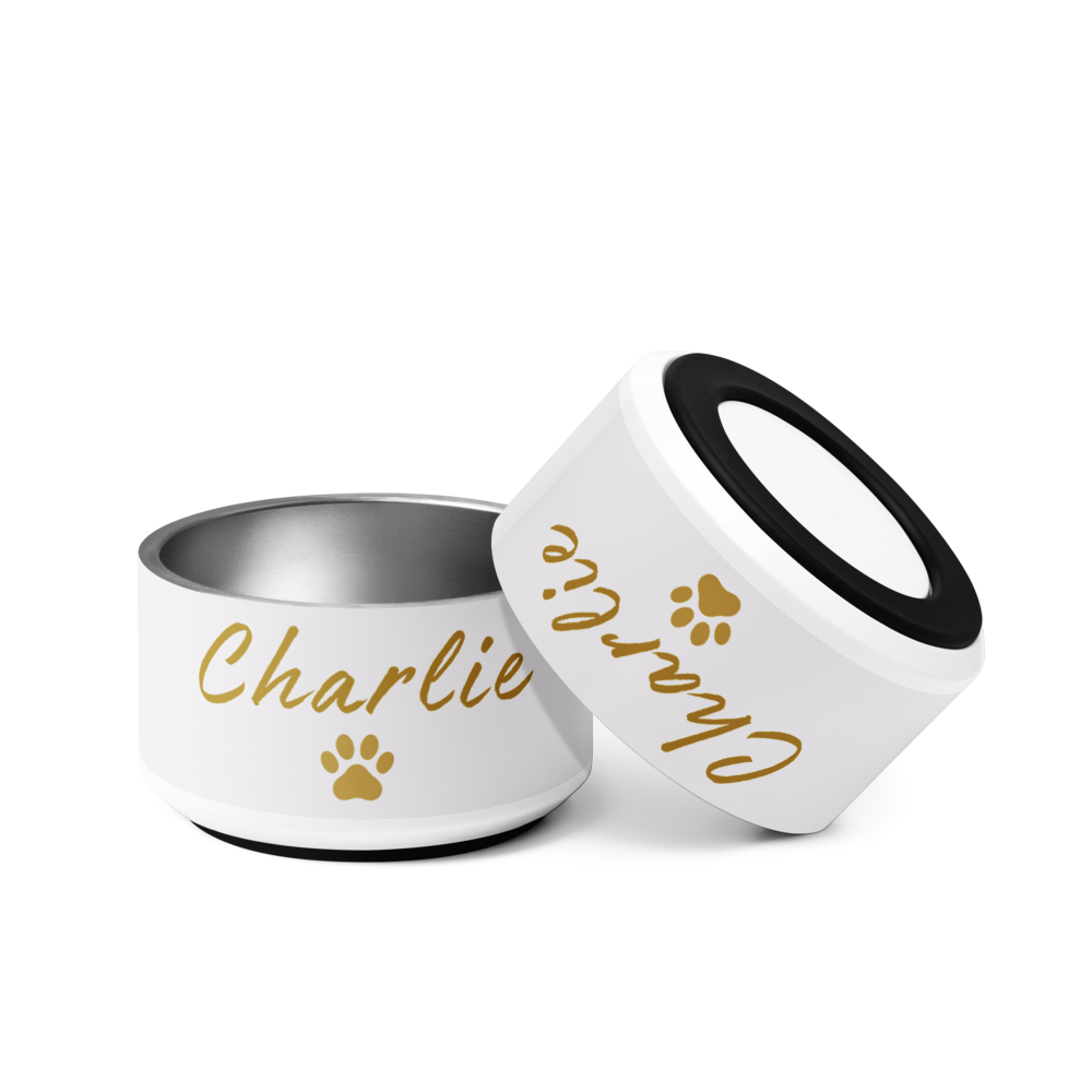 Custom Name Pet Bowl Set, Ivory Whisper & Gold, Luxury Pet Feeding Bowls, Charlie