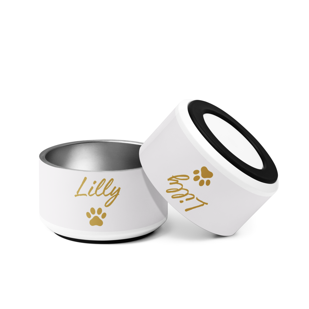 Custom Name Pet Bowl, Ivory Whisper & Gold, Luxury Pet Feeding Bowls, Lilly