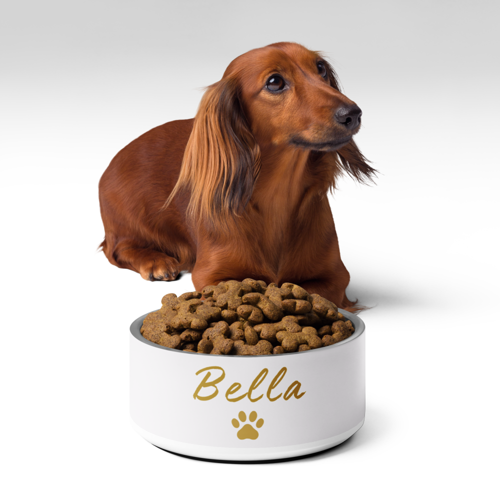 Custom Name Pet Bowl set, Ivory Whisper & Gold, Luxury Pet Feeding Bowls, Bella