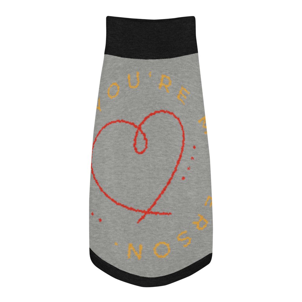 Gray dog dress with red heart and yellow text on a white background