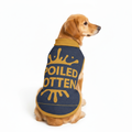 Dog wearing a blue sweater with yellow text and crown design on a white background