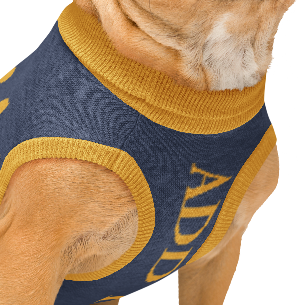 Personalized Dog sweater, Blue and Gold, Splashes with
"SPOILED ROTTEN"
", 2XS