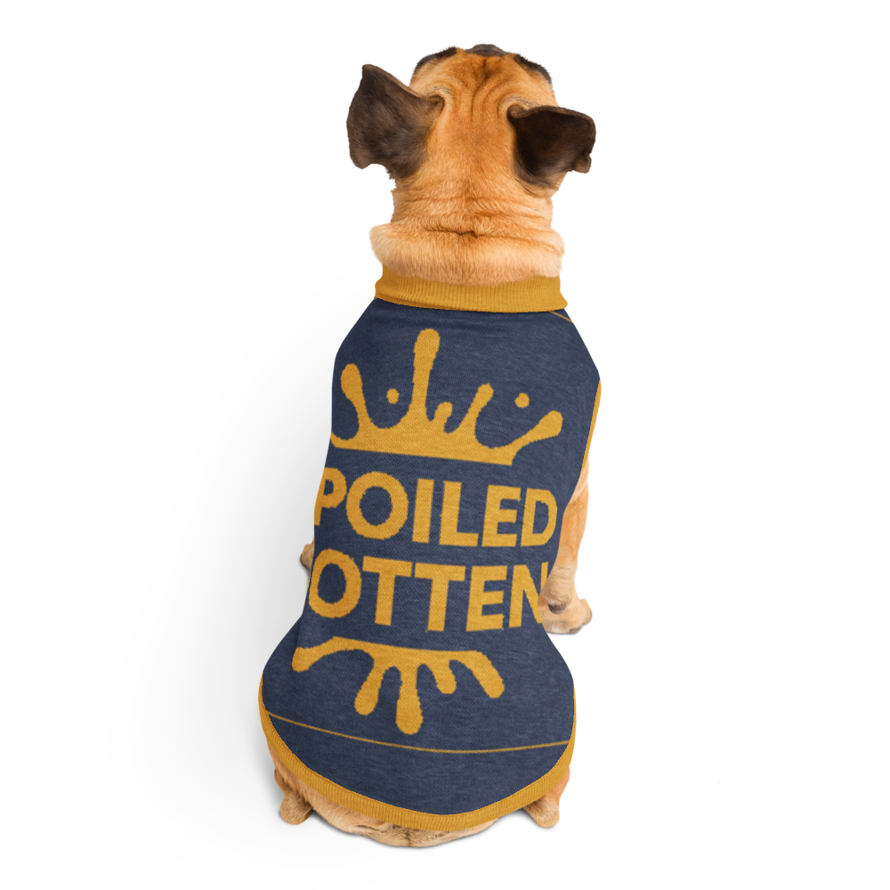 Dog wearing a blue sweater with yellow text on a white background