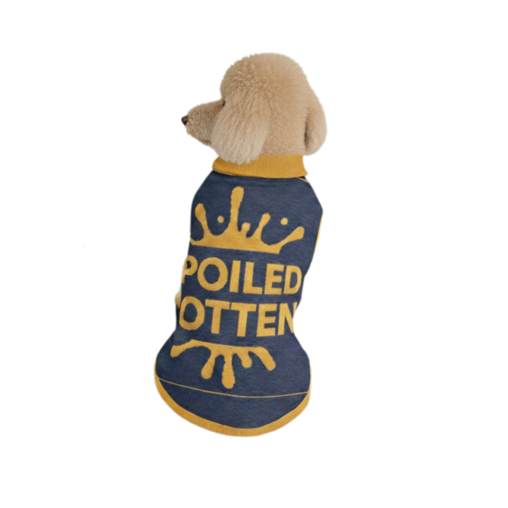 Personalized Dog sweater, Blue and Gold, Splashes with “SPOILED ROTTEN”, M, L, XL