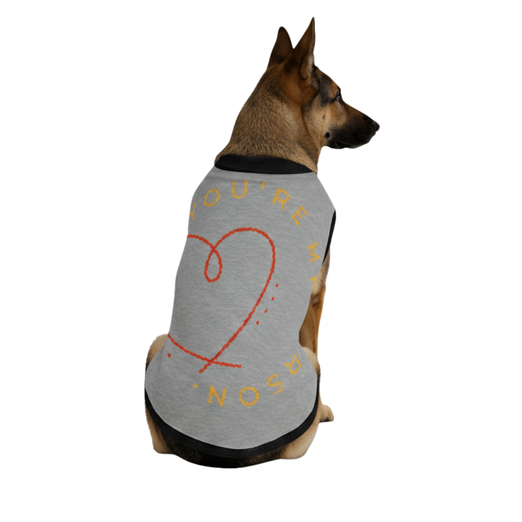 Personalized Knitted pet sweater, Color Gray and Black, "You are my Person" Size M & L