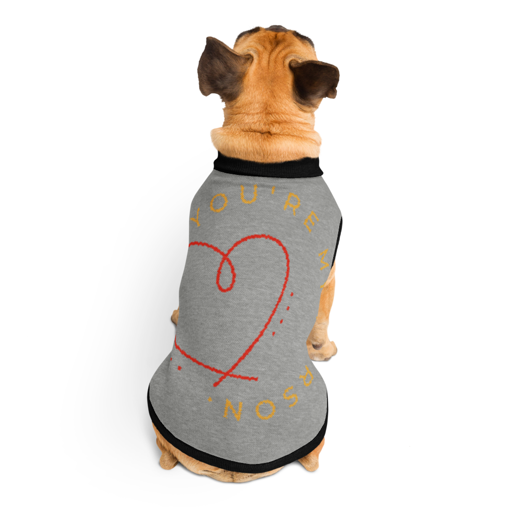 Dog wearing a gray shirt with text and a heart design on a white background