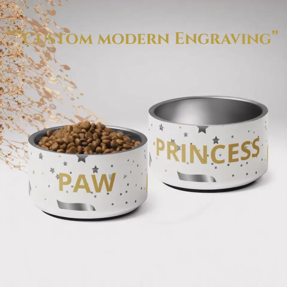 Luxury Stainless Steel Dog Bowl, Modern Paw Princess Pattern, Set 18 oz.