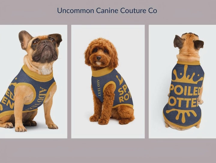 Personalized Dog sweater, Blue and Gold, Splashes with “SPOILED ROTTEN”, 2XL