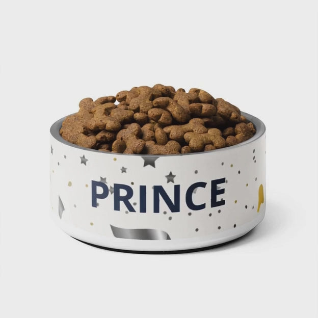Luxury Stainless Steel Dog Bowl, Modern, “PRINCE”, 18 and 32 oz.